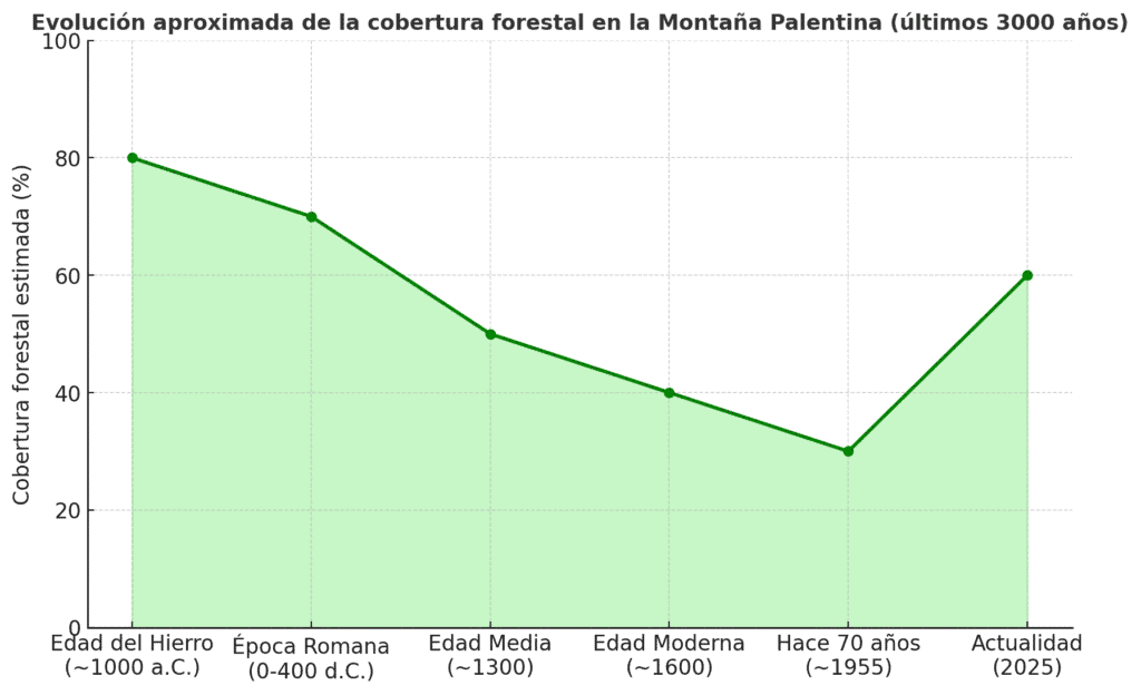 Evolución Estimada De La Cobertura Forestal En España Montaña Palentina